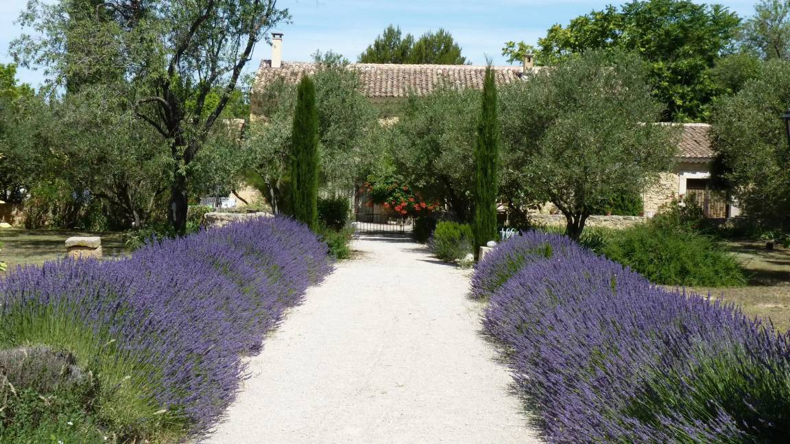 Carpentras House | 40 m² House ∙ 1 bedroom ∙ 2 guests