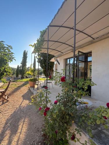 Gargas Villa | Brin d'Olivier en Luberon