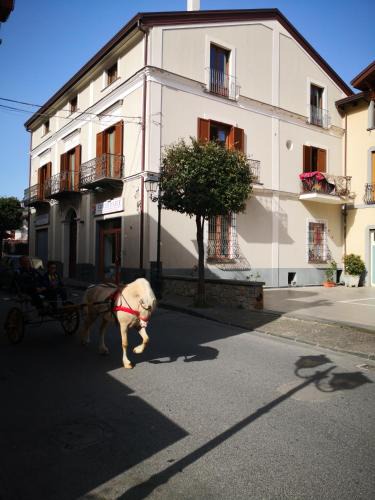 Bomerano Apartment | Casa Amelia