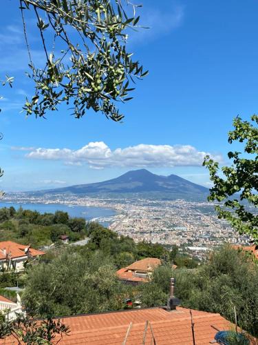 Piazza-Tralia-Pendolo House | Casa Antonia