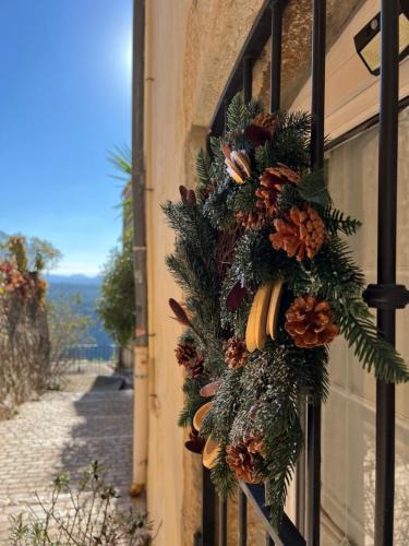Saint-Cezaire-sur-Siagne Apartment | Gîte Le Figuier de Saint Ce - 3 stars - Holiday Home Nature View
