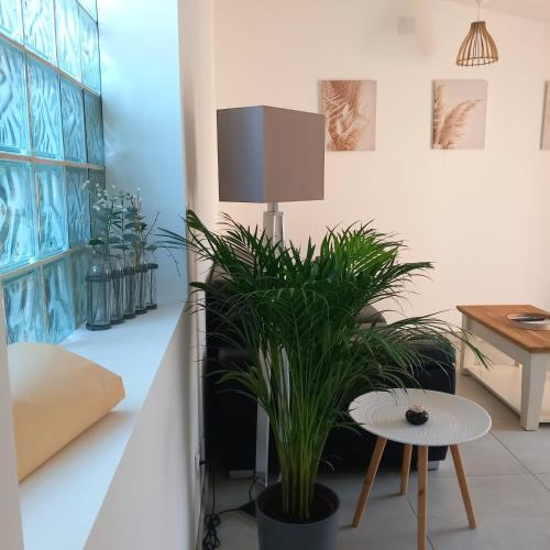 Le Thor Apartment | Gîte Le Jasmin
