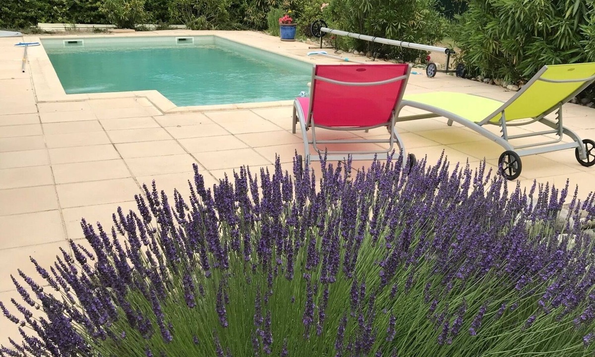 Bras-d'Asse Cabin | House with swimming pool in lavender fields near the Gorges du Verdon