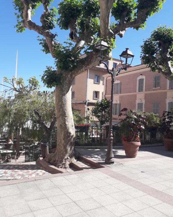 Bandol Apartment | LA GRANDE MAISON centre