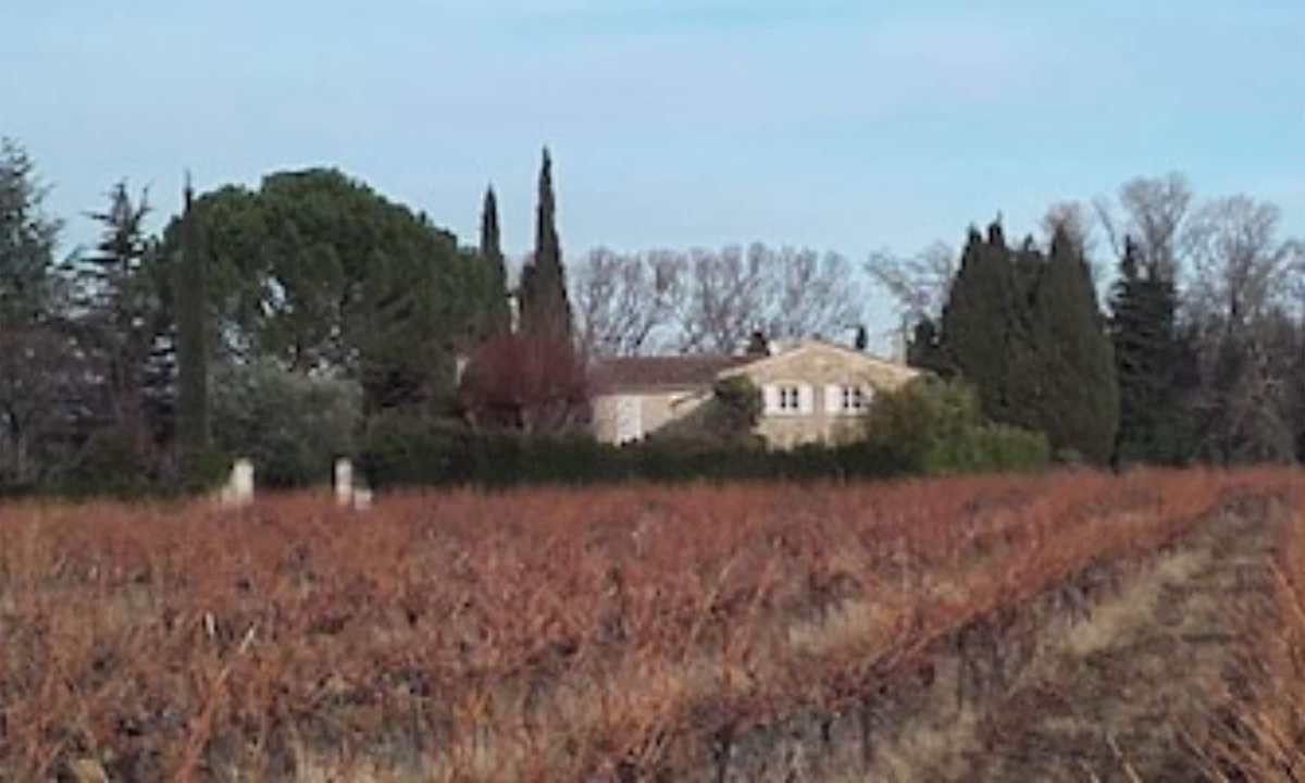 Valreas House | Lavender+Cicadas+Olive trees, Mas Le Moulin Neuf
