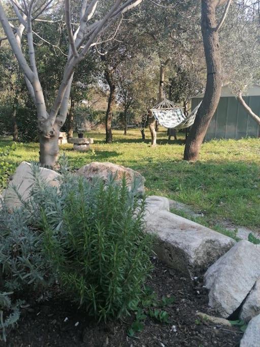 Beaucaire House | Les chênes verts