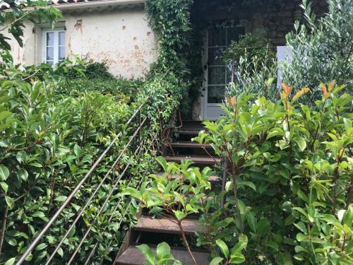 Gordes Apartment | Lou mas li Pitchoun "Le cortassien "