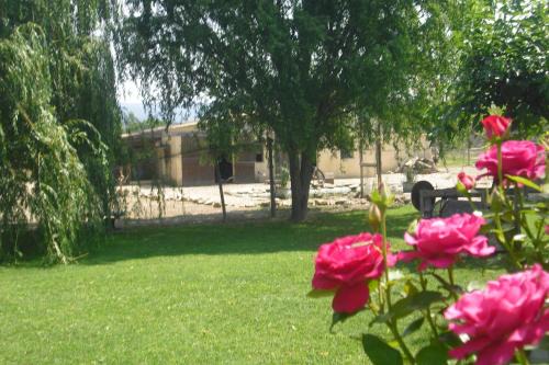 Gordes House | Lou mas li Pitchoun "Le Rosier"