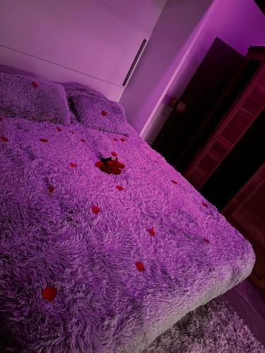 Peyruis Hotel | Love Room - Le Parad'Ysi