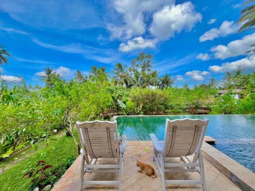 Banyuwangi House | Pondok Is Oke bambo infinity pool