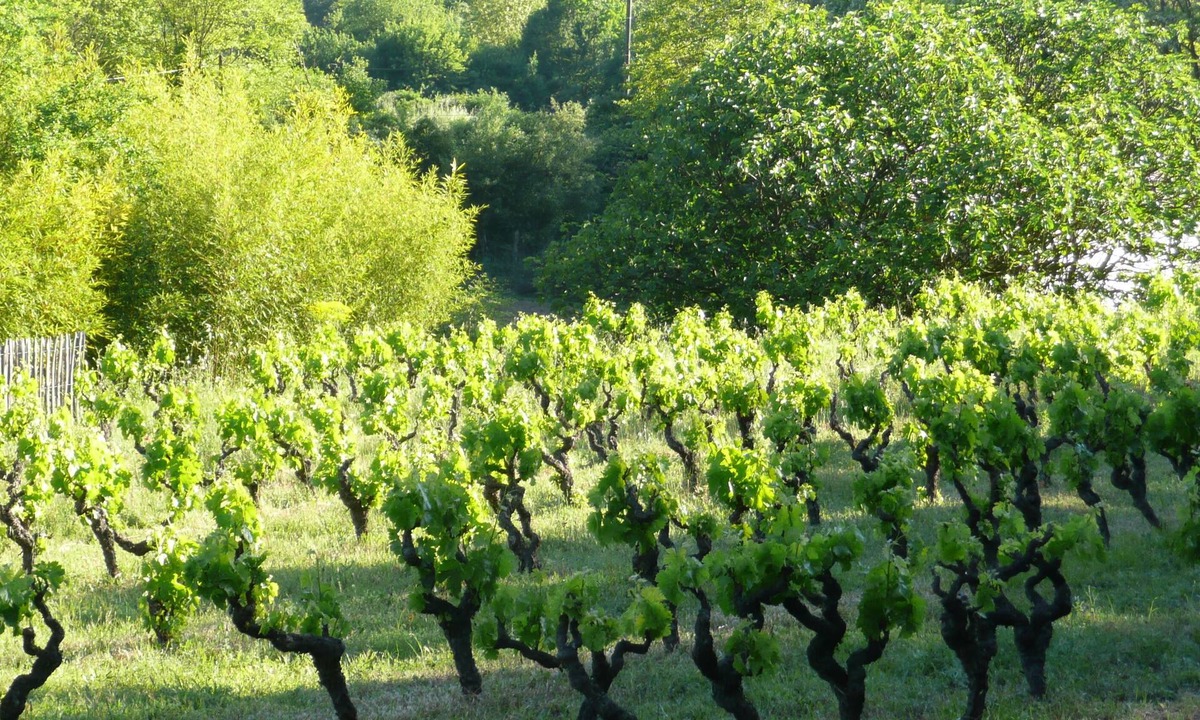 Saint-Antonin-du-Var House | Rent up to 6 people ds old farmhouse restored, full nature provencal