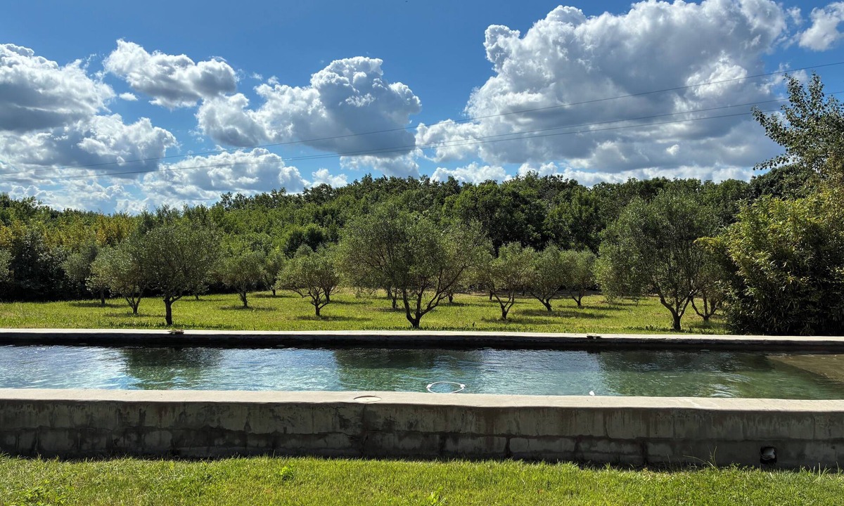Theziers House | Saltwater swimming pool14m charming mas standing on 2 hectares of countryside