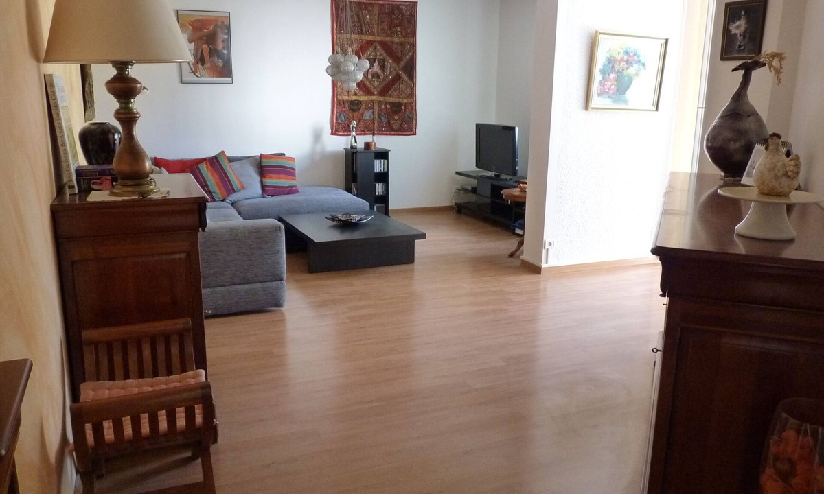 Fontanil-Cornillon Apartment | SPACIOUS AND LUMINOUS COMFORTABLE APARTMENT RENTAL NEAR GRENOBLE