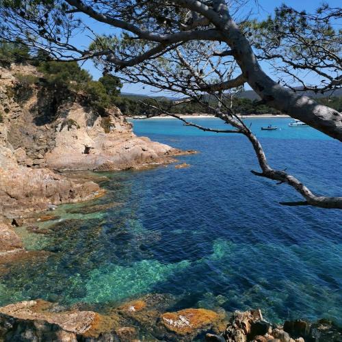 Toulon - Hyeres Apartment | Studio à Hyères Port - Proche de toutes commodités