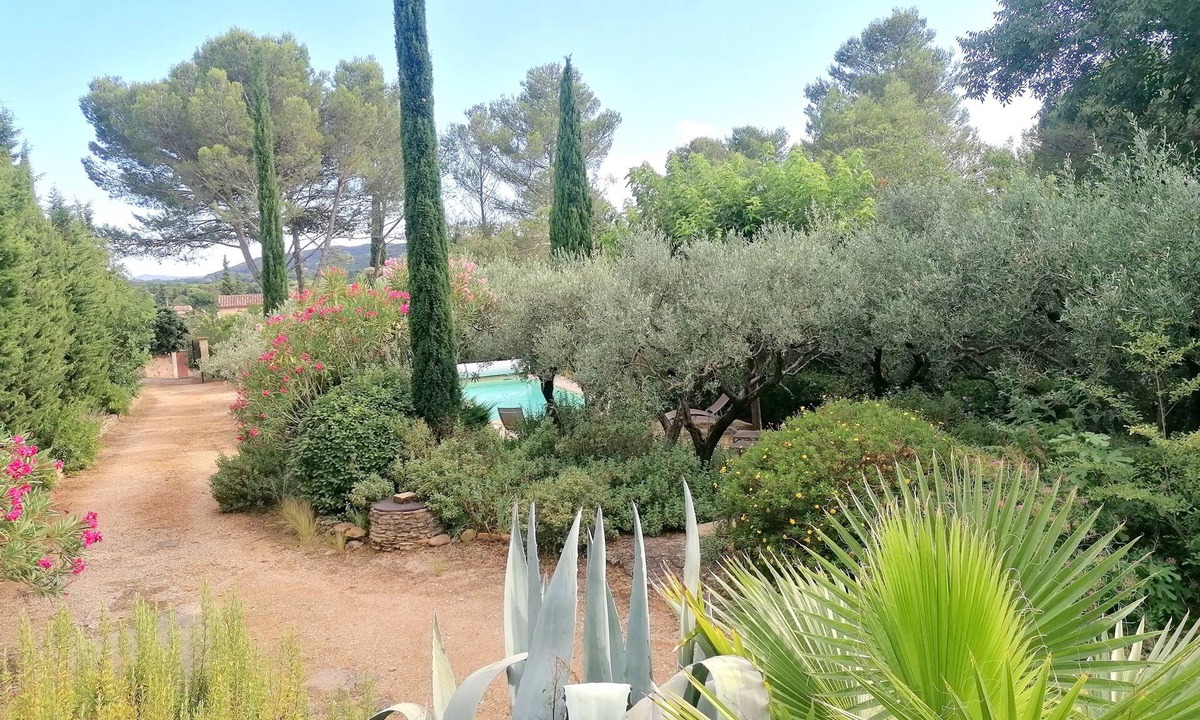 Castillon-du-Gard Villa | The whisper of the olive trees