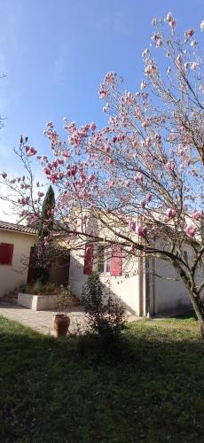 Beaucaire House | UNE CHOUETTE MAISON