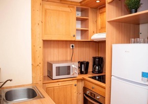 1st floor, balcony, parking, tv, ski locker, 37m², Pra Loup
