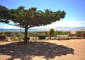 APARTMENT T2 * 4 p 10m from the BEACH with SEA VIEW & HEATED SWIMMING POOL (6)