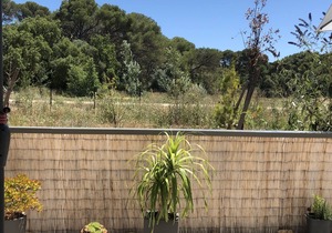 Appartement Pour 2+2 Personnes Avec Terrasse et Piscine