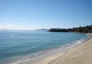 Appartement Le Lavandou, 2 pièces, 6 personnes - FR-1-251-57