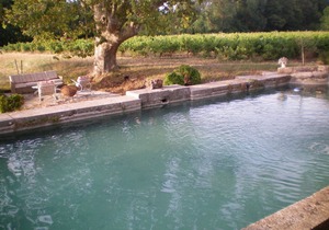 B&b Guest House "Domaine le Clos du Pavillon" Provence