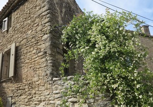 Cozy 1 bedroom house, 2 min walk from the village square in GOULT. Pet friendly