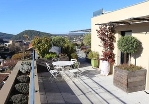 Les Toits De Vaison