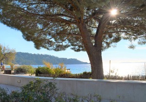 Studio on Cavalière beach with terrace, 1st floor, sleeps 2