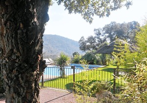 Tropezienne 10