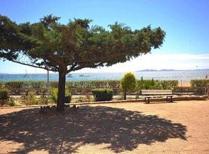 Les Provencales La Maures | La Londe-les-Maures