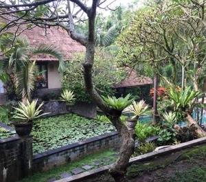 Style Sukawati Gianyar Garden The Property 