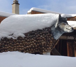 Résidence Les Marmottes Bleues 