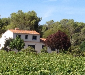Loubiere 