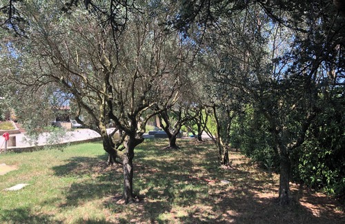 Orange House | 10 minutes from Orange beautiful vacation home with large garden