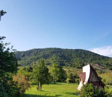 Sederon Bed & Breakfast | 20 m² Bed and breakfast ∙ 2 guests