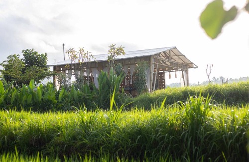 Amlapura Resort | 24 m² Resort ∙ 2 guests