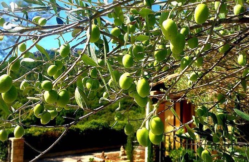 Cabasse Bed & Breakfast | 45 m² Bed and breakfast ∙ 2 guests