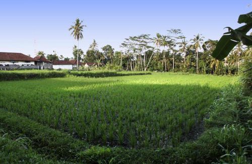 Kemenuh House | Bali Sunshine Ubud