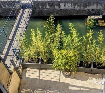 Le Thor Bed & Breakfast | Chambre Voltaire ou Chambre Beckett, terrasse en bord de Sorgue