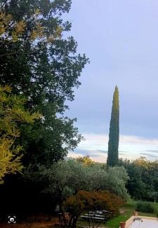 Roussillon House | Joli mas "Rêve de lune" en plein coeur du Luberon