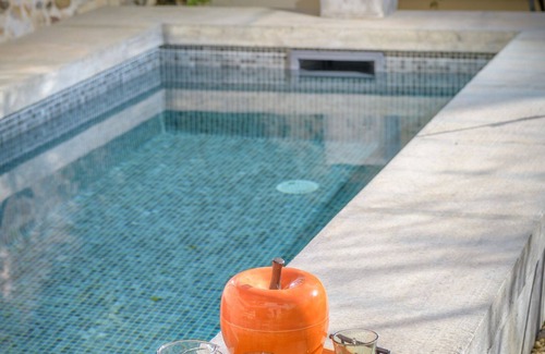 Maussane House | L'annexe des Alpilles village house swimming pool