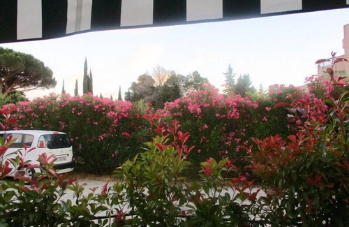 Cavaliere House | Laurel Rose (beach at 100m)