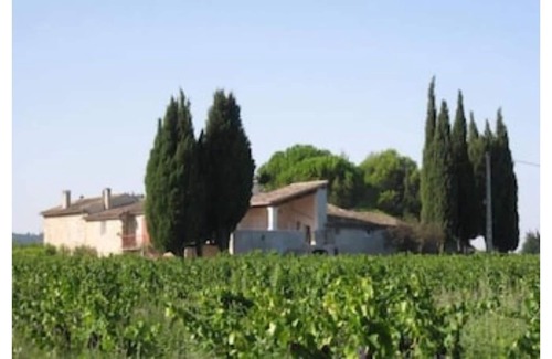 Valreas House | Lavender+Cicadas+Olive trees, Mas Le Moulin Neuf
