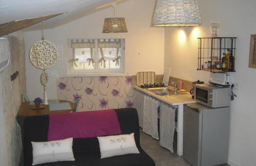 Gordes Apartment | Lou mas li Pitchoun "Le cortassien "