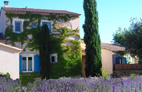 Lacoste Bed & Breakfast | Luxury air conditionned twin room Glycine-terrace-Le clos des lavandes