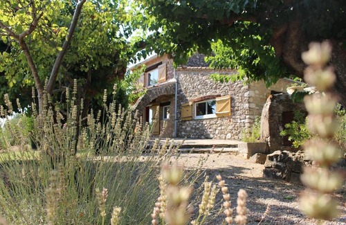 Draguignan House | Maison typique provençal au cœur de la nature