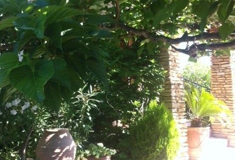 Saint-Cyr-sur-Mer Villa | Quiet villa in large garden next to the beach .
