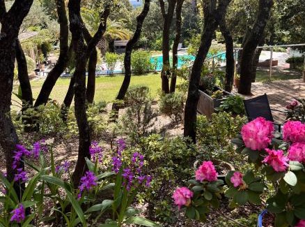 Piolenc Bed & Breakfast | Santolines en Provence