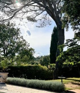 Piolenc Bed & Breakfast | Santolines en Provence