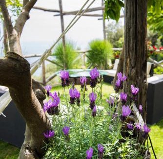 Praiano House | Villa Gianlica